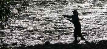 Fly fishing for trout, Motueka River