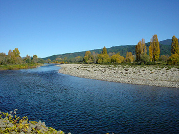 Motueka River, great trout fly fishing river