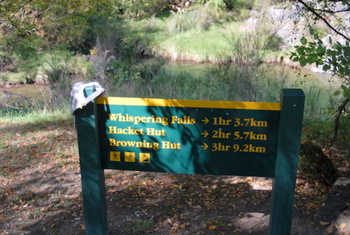 You can walk the Pelorus Track from Aniseed Valley in Richmond or do some short day walks