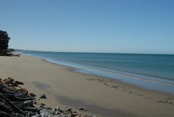 Golden Bay empty beach