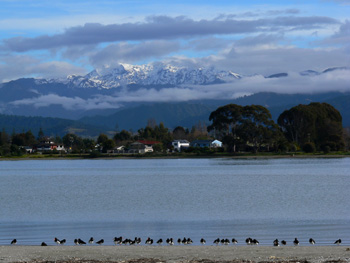 Motueka, Tasman, New Zealand