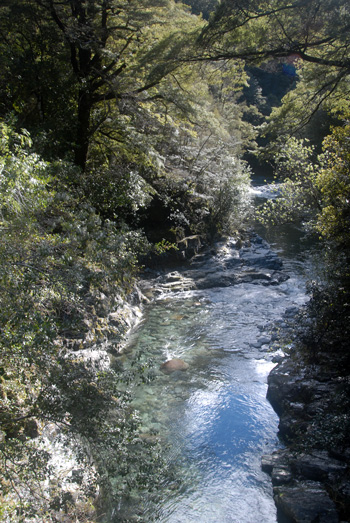 Richmond Ranges, Nelson, beautiful bush walks and swimming spots