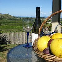 Enjoy a wine and fresh grapefruit on the balcony