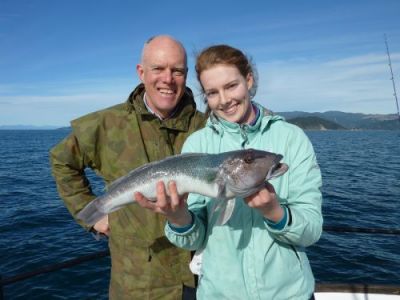 Come on a Wildcat Fishing Charter in Golden Bay